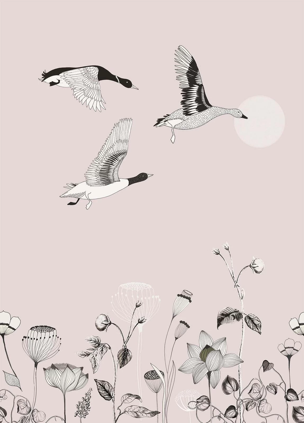 Fototapete Natur Blumen Floral Rosa Schwarz Onszelf 532012 4 Fototapete Natur Blumen Floral Rosa Schwarz Onszelf 532012 – Bild 2