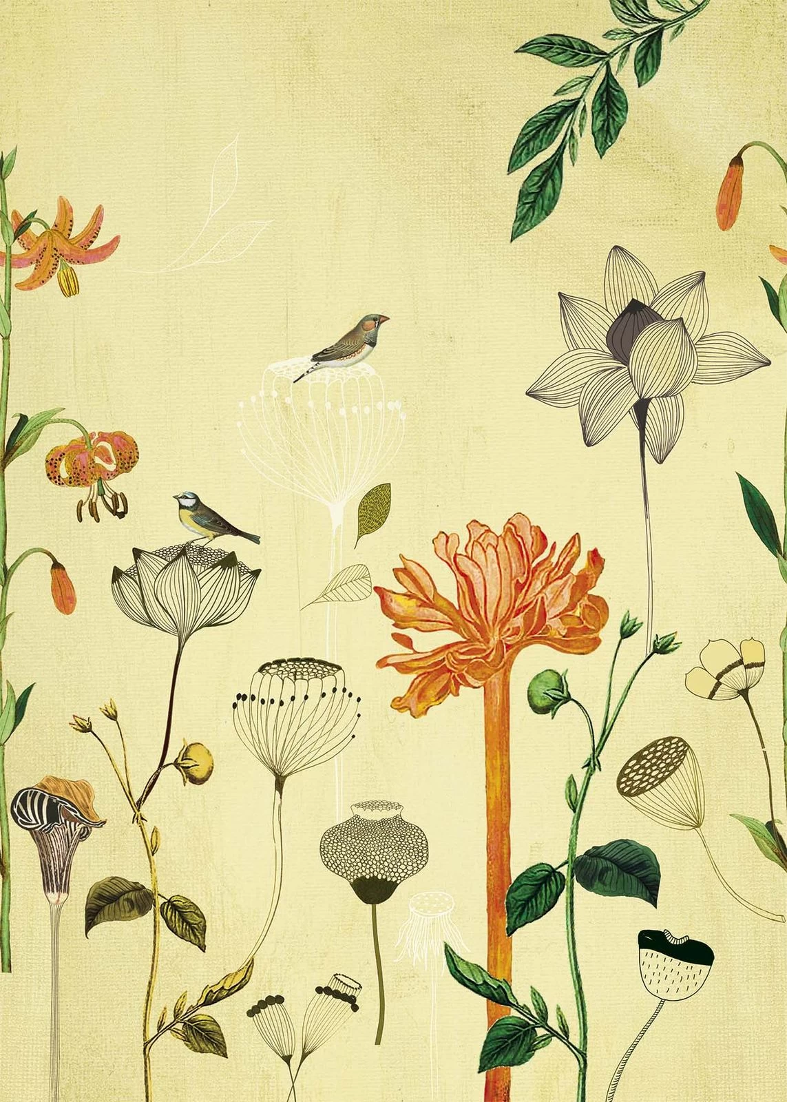 Fototapete Natur Vogel Gelb Orange Onszelf 532036 4 Fototapete Natur Vogel Gelb Orange Onszelf 532036 – Bild 2