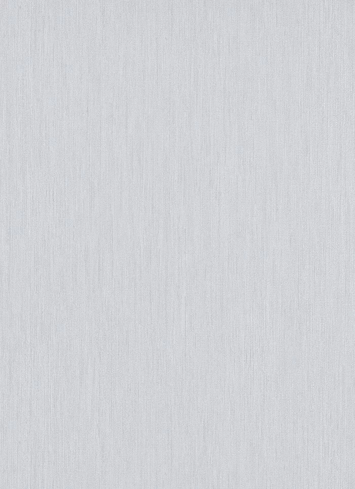 Tapete Vlies Einfarbig Meliert Grau Weiß 10034-10 4 Tapete Vlies Einfarbig Meliert Grau Weiß 10034-10 – Bild 2
