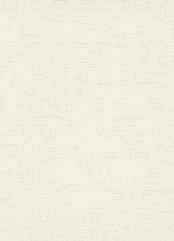 Tapete Vlies 10140-01 Einfarbig Weiß Grau -Fashion Home Wallpaper Store Tapete Vlies 10140 01 Einfarbig pastellgruen 63205524