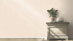 Barbara Home Vliestapete Einfarbig Hellrosa 537147 9 Barbara Home Vliestapete Einfarbig Hellrosa 537147 -Fashion Home Wallpaper Store Tapete Vlies 537147 Einfarbig hellrosa 63203603 2