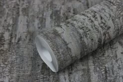 Tapete Vlies Rasch Birke Baumstamm Anthrazit 554076 -Fashion Home Wallpaper Store Tapete Vlies Rasch Birke Baumstamm anthrazit 554076 63211744 7