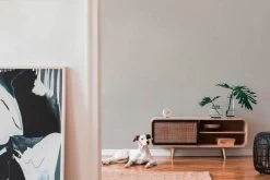 Tapete Vlies Uni Struktur Greige Glitzer 38198-1 -Fashion Home Wallpaper Store Tapete Vlies Uni Struktur greige Glitzer 38198 1 63209715 1