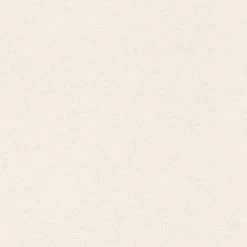 Rasch Tapete Einfarbig Textil Optik Weiss Grau 252804